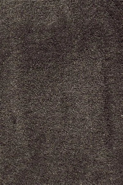 Ковровое покрытие AW Fedone 44 - (5м) в Стерлитамаке