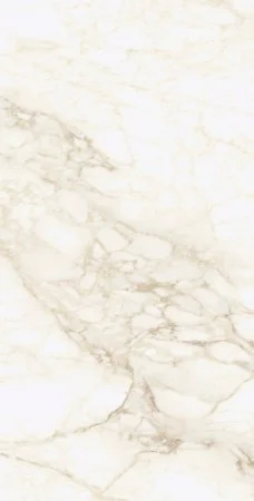 Керамогранит Coliseum Микеланджело Ворм 60х120 (Натуральный и Реттифицированный) в Стерлитамаке