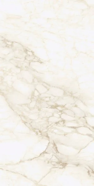 Керамогранит Coliseum Микеланджело Ворм 60х120 (Натуральный и Реттифицированный) в Стерлитамаке