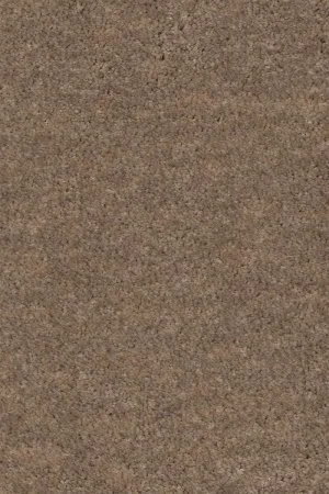 Ковровое покрытие AW Euphoria 36 - (5м) в Стерлитамаке