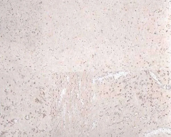 Настенное пробковое покрытие CorkArt PW 386 WS в Стерлитамаке