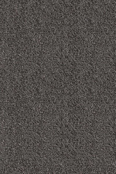 Ковровое покрытие AW Messalina 99 - (5м) в Стерлитамаке