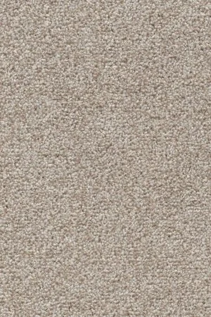 Ковровое покрытие AW Stainguard Harvest 04 - (4м) в Стерлитамаке