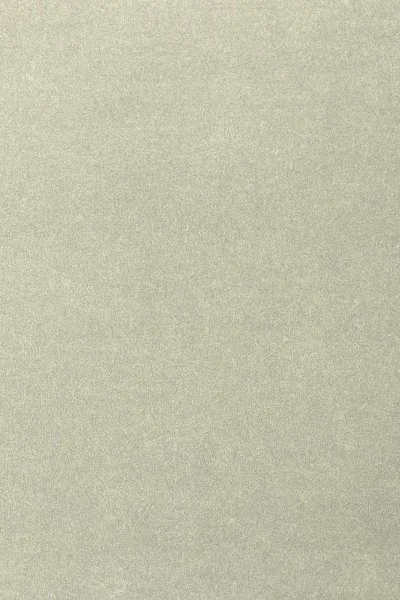 Ковровое покрытие AW Oinone 02 - (4м) в Стерлитамаке