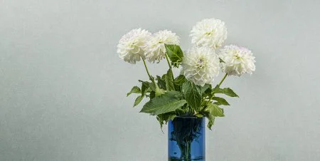 Обои Loymina Shade vol.2 SDR5, 001 в Стерлитамаке