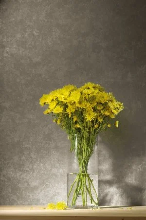 Обои Loymina Golden Library TDG 7, 008 в Стерлитамаке