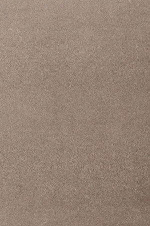 Ковровое покрытие AW Oinone 49 - (5м) в Стерлитамаке