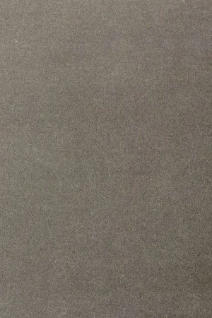 Ковровое покрытие AW Oinone 95 - (5м) в Стерлитамаке