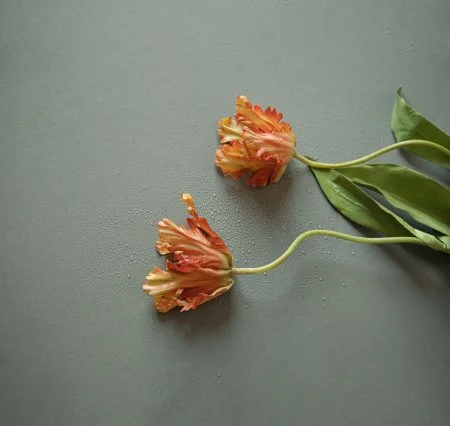 Обои Loymina Russian Classic Ru10, 006 в Стерлитамаке