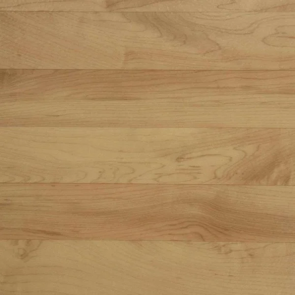 Спортивный линолеум Tarkett Omnisports Action 65 Cold Beech в Стерлитамаке