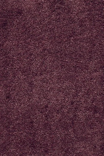 Ковровое покрытие AW Fedone 19 - (5м) в Стерлитамаке