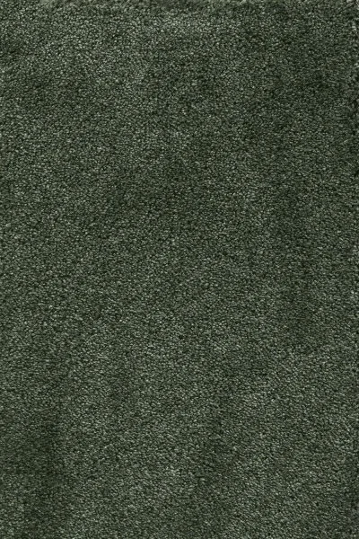 Ковровое покрытие AW Fedone 24 - (5м) в Стерлитамаке