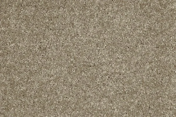 Ковровое покрытие AW Gala 33 - (4м) в Стерлитамаке