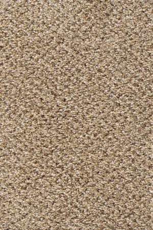 Ковровое покрытие AW Stainaway Tweed 50 - (4м) в Стерлитамаке
