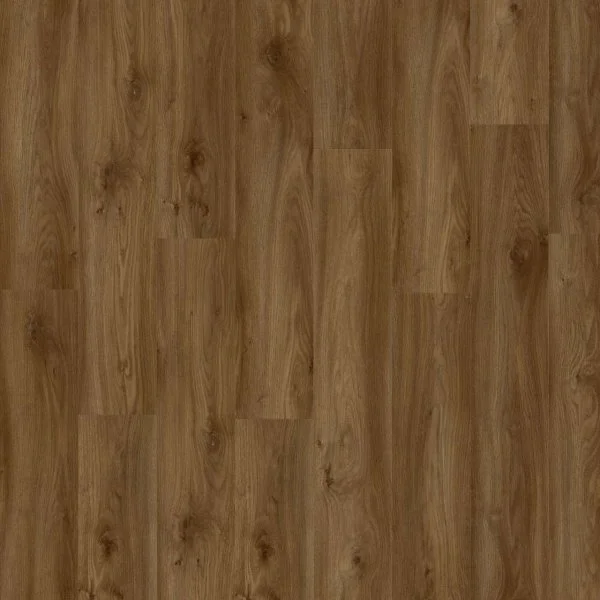 LVT-плитка Moduleo Roots Glue 0.55 EIR Sierra Oak 58876Q в Стерлитамаке