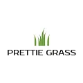 Искусственная трава Prettie Grass купить в Стерлитамаке по выгодной цене Искусственная трава Prettie Grass в Стерлитамаке