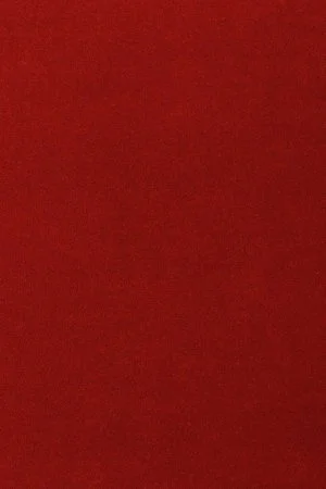 Ковровое покрытие AW Oinone 10 - (4м) в Стерлитамаке