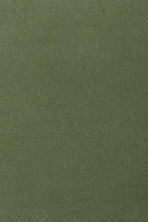 Ковровое покрытие AW Oinone 24 - (4м) в Стерлитамаке