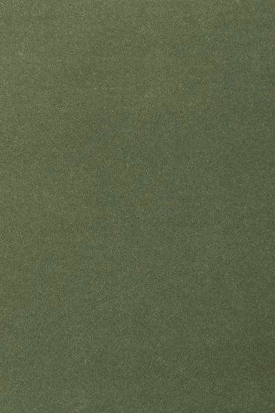 Ковровое покрытие AW Oinone 24 - (4м) в Стерлитамаке