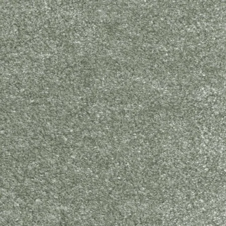 Ковровое покрытие AW Euphoria 28 - (5м) в Стерлитамаке