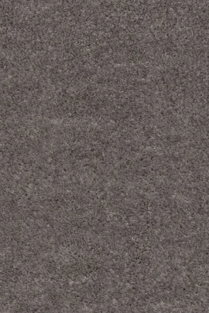 Ковровое покрытие AW Euphoria 45 - (5м) в Стерлитамаке