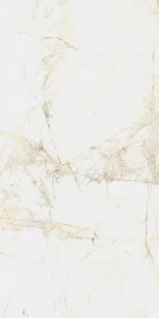 Керамогранит Coliseum Канова Уайт 60х120 (Натуральный и Реттифицированный) в Стерлитамаке