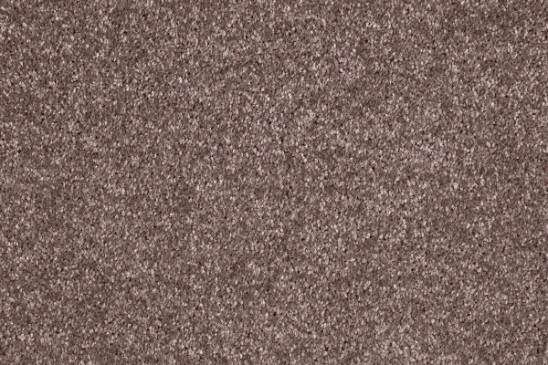 Ковровое покрытие AW Gala 60 - (5м) в Стерлитамаке