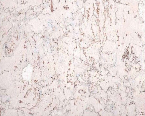 Настенное пробковое покрытие CorkArt PW 324 WS в #REGION_NAME_DECLINE_PP#